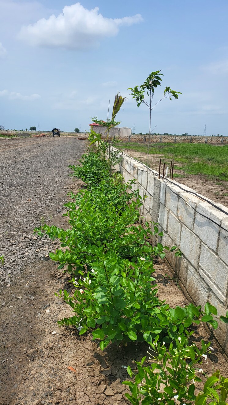 undefined, parv-shantiban-dreams  200 Sq.Yd. Plot In Dholera Ahmedabad 8117615