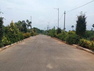Plot Area in  Plot at Thimmapur – for Sale