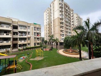 2.5 BHK Apartment For Resale in Ashiana Orchid Gamma Ii Greater Noida Greater Noida  8117703