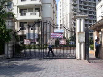 2.5 BHK Apartment For Resale in Ashiana Orchid Gamma Ii Greater Noida Greater Noida  8117703