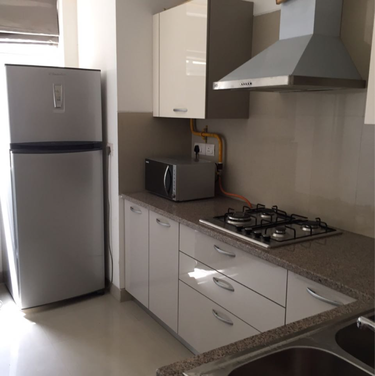 Kitchen, emaar-the-palm-drive-the-premier-terraces 3 Bedroom 1950 Sq.Ft. Apartment In Sector 66 Gurgaon 8117757