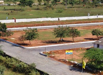 Plot For Resale in Bheemili Vizag  7546285