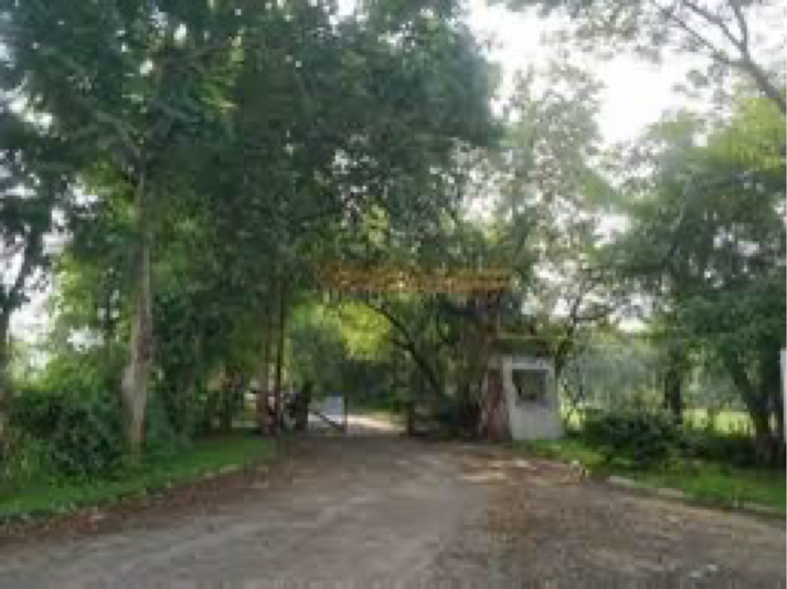 Plot For Sale in Suramya 7
