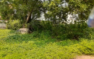 Plot For Sale in Nagole