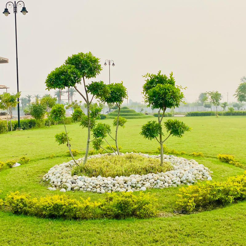 Plot For Sale in Ansal Sushant Golf city