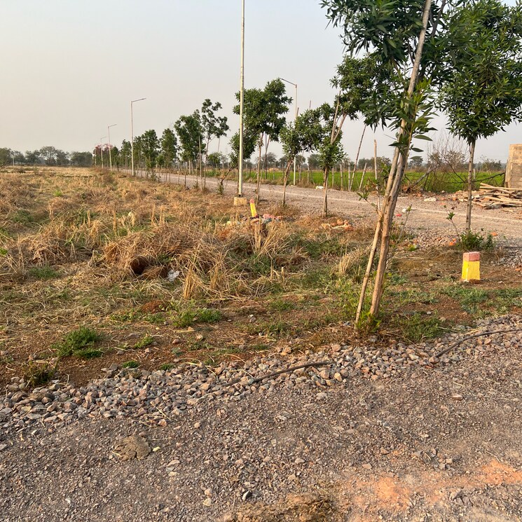 undefined, sejbahar  11000 Sq.Ft. Plot In Sejbahar Raipur 8117928