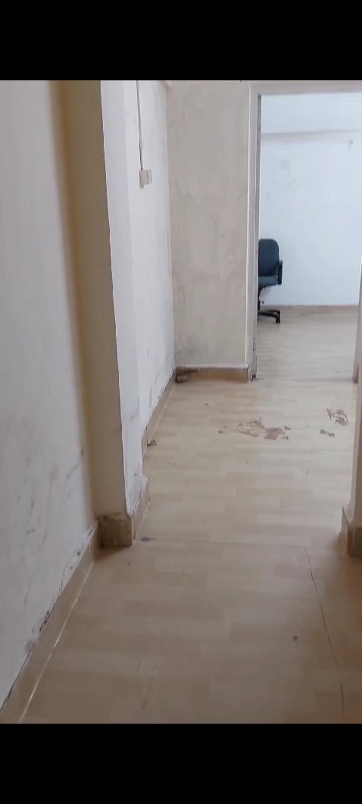 1 BHK + Study Room 450 Sq.Ft. Apartment in Nav Aasawari CHS