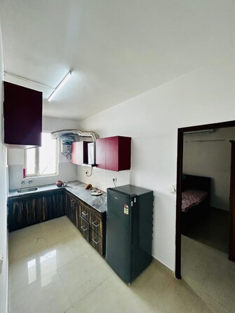 2 BHK Apartment For Rent in Signature Signum 95 II Sector 95 Gurgaon  8118052