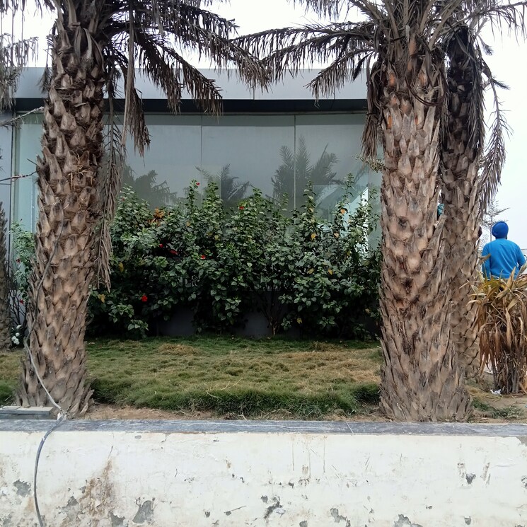 Exterior View, upsidc site b  100 Sq.Yd. Plot In Upsidc Site B Greater Noida 8118163