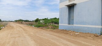 Plot For Resale in Karuppayurani Madurai  8118106