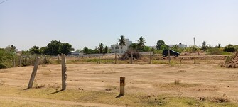 Plot For Resale in Karuppayurani Madurai  8118106