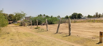 Plot For Resale in Karuppayurani Madurai  8118106