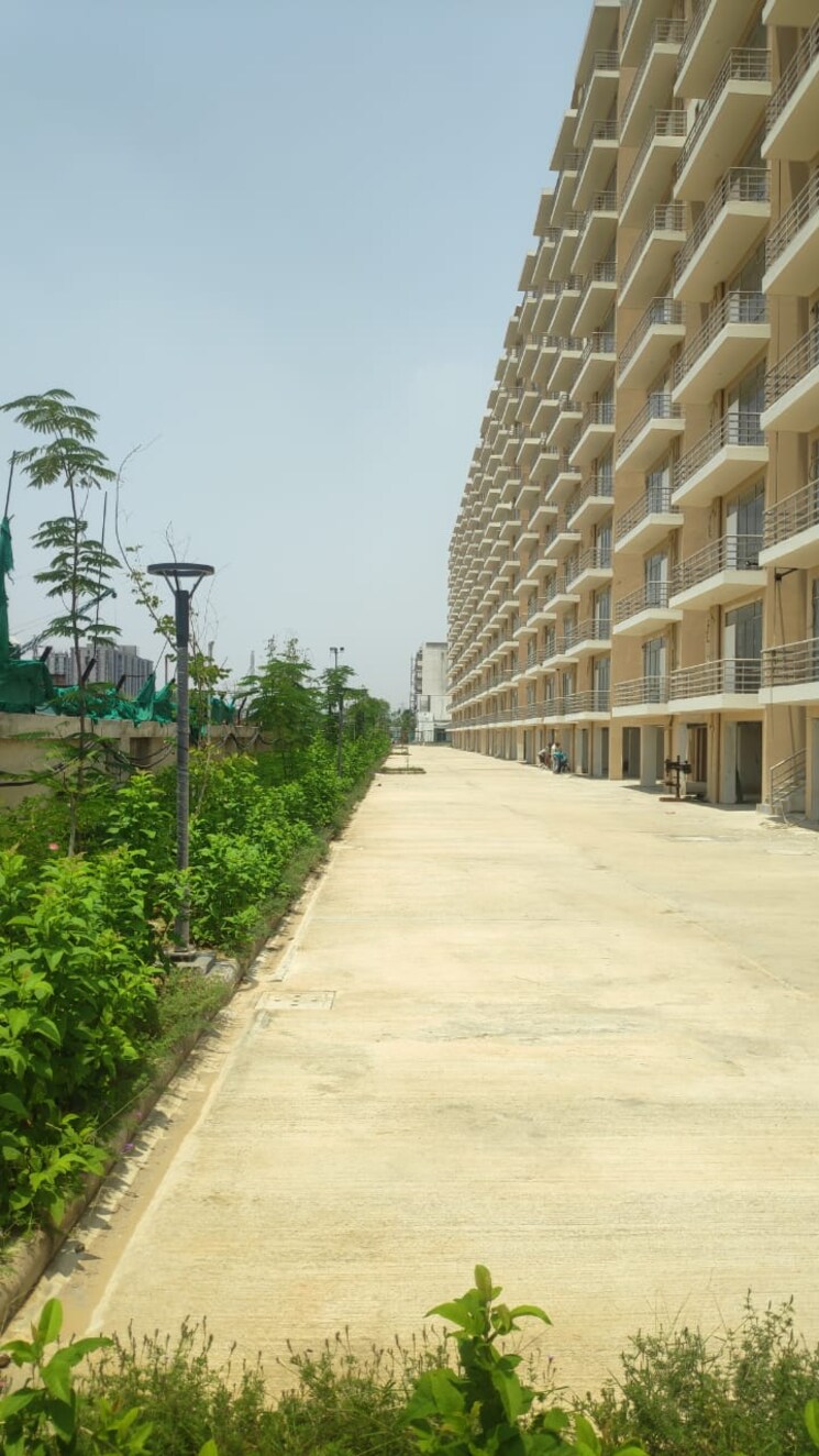 Exterior View, arete-india-our-homes-3 2 Bedroom 600 Sq.Ft. Apartment In Sohna Sector 6 Gurgaon 8118211