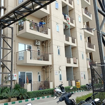 2 BHK Apartment For Rent in Signature Orchard Avenue 2 Sector 93 Gurgaon  8118314