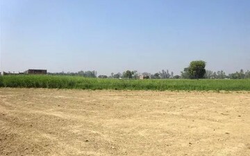 Plot For Sale in Sikandrabad