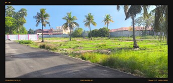 Plot For Resale in Mahabalipuram Chennai  8118524