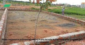  Plot For Sale in Sikandrabad