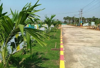 Plot For Resale in Bhogapuram Vizag  8118935