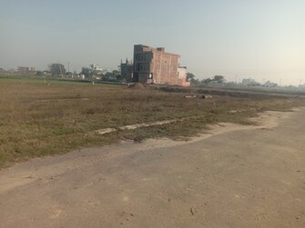 Plot For Resale in Altus Muirwood Ecocity North Kharar Chandigarh  8119044