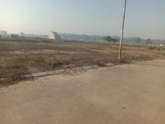 Plot For Resale in Altus Muirwood Ecocity North Kharar Chandigarh  8119044