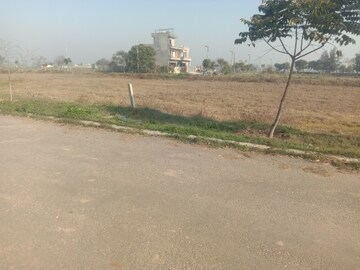 Plot Area in  Plot at Altus Muirwood Ecocity, North Kharar – for Sale