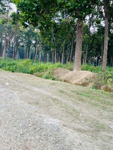 Plot Area in  Plot at Shimla Bypass Road – for Sale