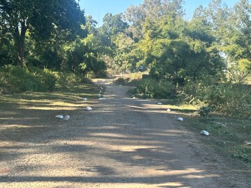  Plot – Garden View at Shimla Bypass Road - for Sale