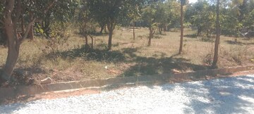 Plot Area in  Plot at Maralakunte – for Sale