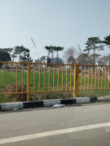 Commercial Industrial Plot 500 Sq.Yd. For Resale in Noida Central Noida  8119282