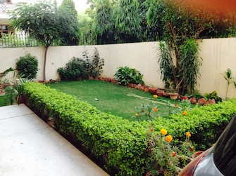 3 BHK Independent House For Rent in Sector 22 Gurgaon  8119357