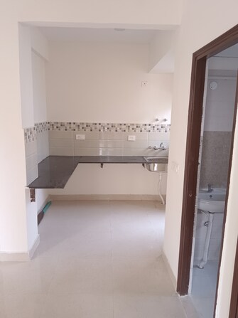 2 BHK Apartment For Rent in Signature Orchard Avenue 2 Sector 93 Gurgaon  8119415