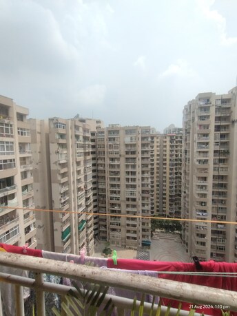 2 BHK Apartment For Rent in ACE Platinum Zeta I Greater Noida Greater Noida  8119526