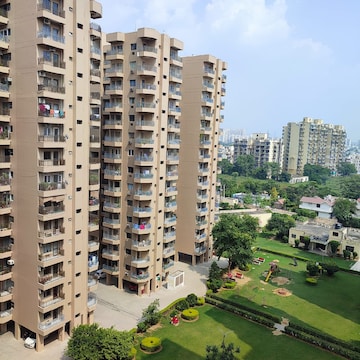 3 BHK Apartment For Rent in Ardee City Palm Grove Heights Sector 52 Gurgaon  8119639