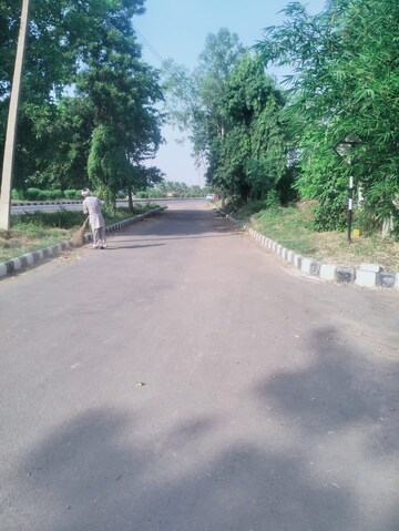 Plot Area in  Plot at Dera Bassi – for Sale