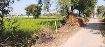 Commercial Land 3 Acre For Resale in Mahavan Mathura  8119640