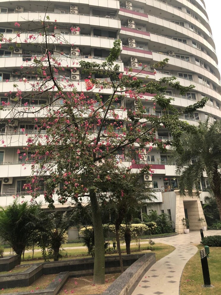 Exterior View, omaxe-twin-towers 3.5 Bedroom 2300 Sq.Ft. Apartment In Sector 50 Noida 8119663