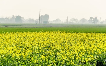 Land For Sale in Mahavan