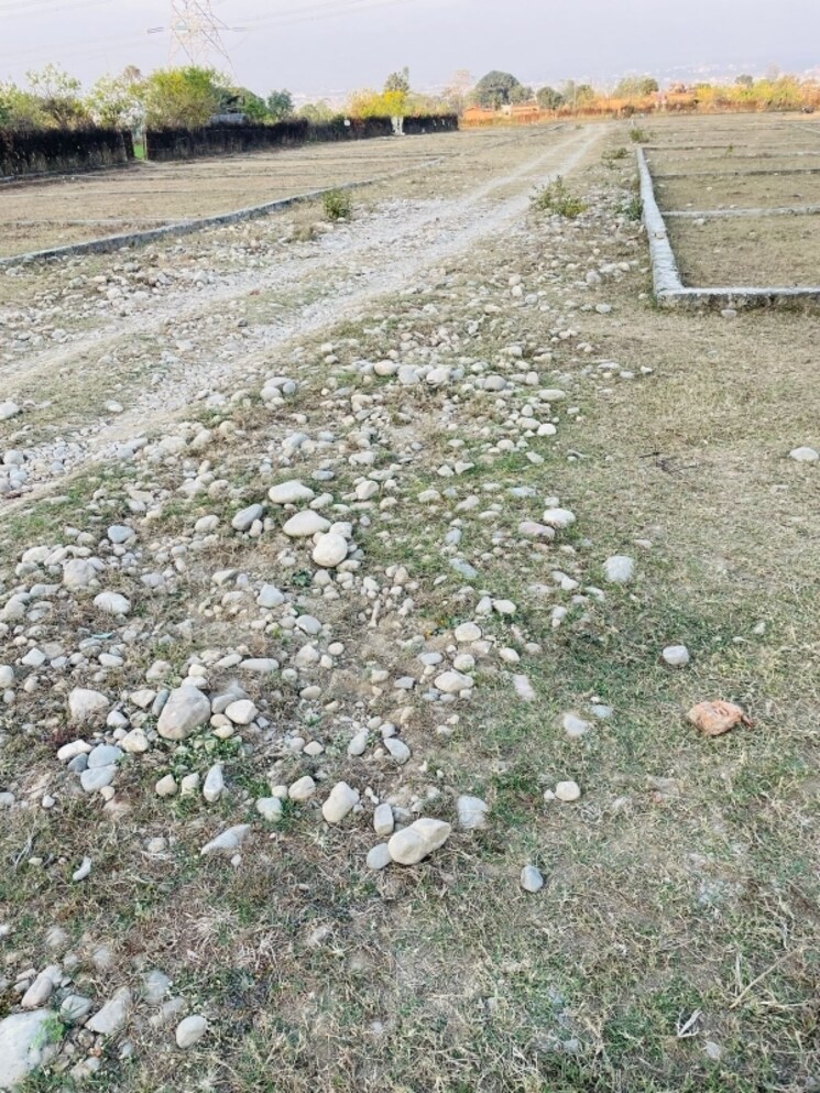 undefined, shimla bypass road  102 Sq.Yd. Plot In Shimla Bypass Road Dehradun 8119688