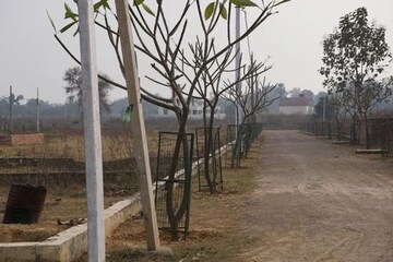  Plot For Sale in Sikandrabad