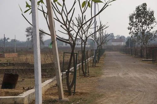 Plot For Sale in Dawar Railway Station Cha