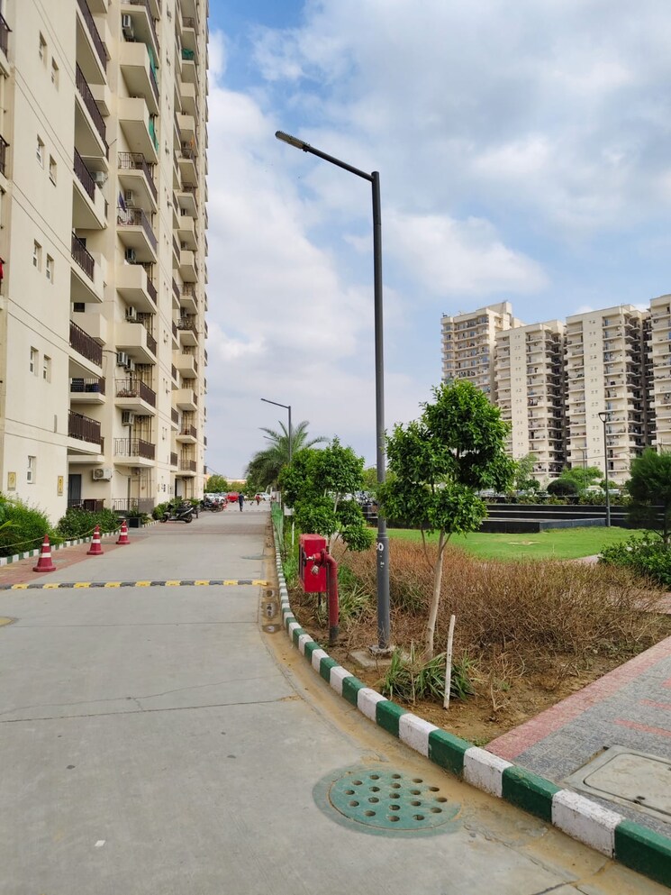 Exterior View, sohna sector 4 3 Bedroom 800 Sq.Ft. Apartment In Sohna Sector 4 Gurgaon 8119886