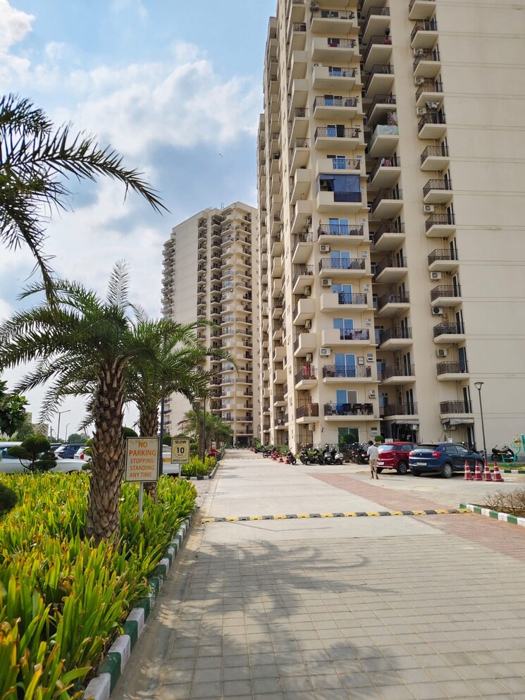 Exterior View, sohna sector 4 3 Bedroom 800 Sq.Ft. Apartment In Sohna Sector 4 Gurgaon 8119886