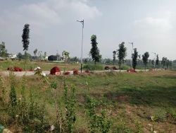 Plot For Sale in Dawar Railway Station Cha