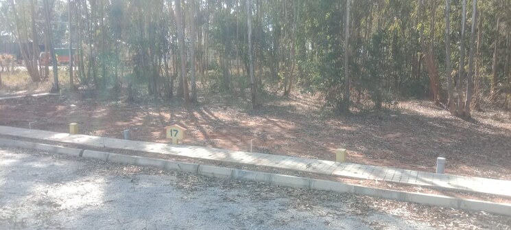 undefined, srinivasapur  477 Sq.Yd. Plot In Srinivasapur Bangalore 8120093