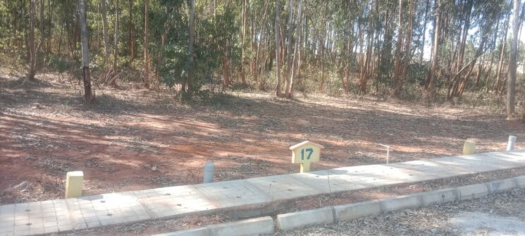 undefined, srinivasapur  477 Sq.Yd. Plot In Srinivasapur Bangalore 8120093