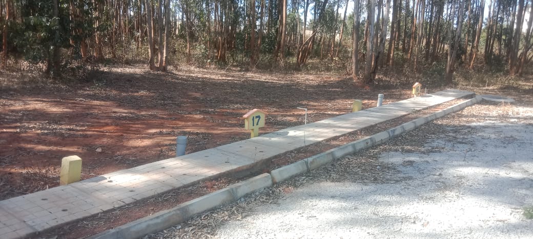 Plot For Sale in Srinivasapur