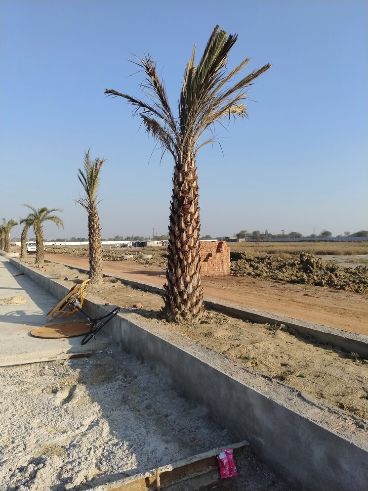 undefined, akbarpur  125 Sq.Yd. Plot In Akbarpur Mathura 8120215