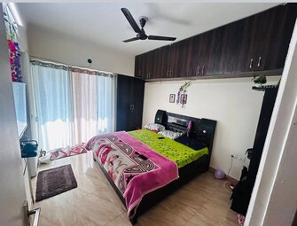 2 BHK Apartment For Rent in Gaur City 7th Avenue Sector 4, Greater Noida Greater Noida  8120297