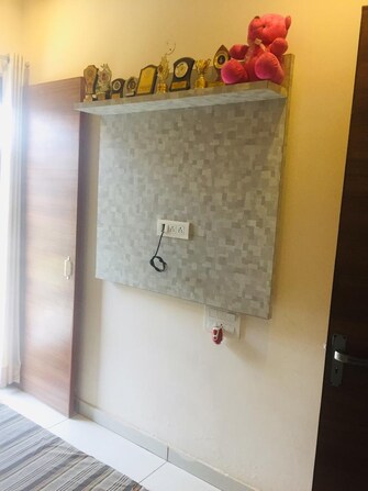 2 BHK Apartment For Rent in GHB Splande Patiala Road Zirakpur  8120528