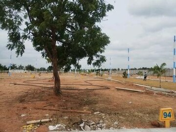  Plot For Sale in Sikandrabad